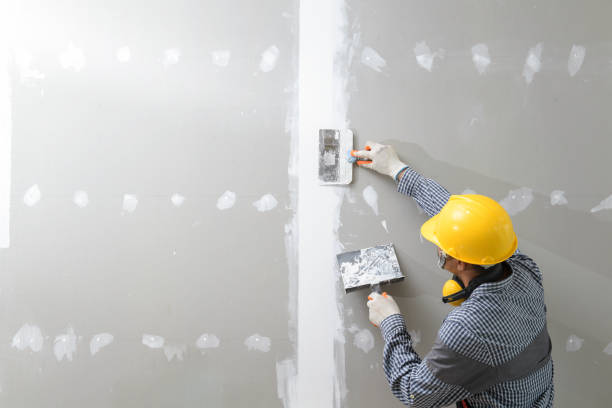 Mold Odor Removal Services in Trevose, PA